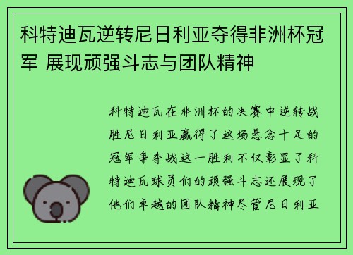 科特迪瓦逆转尼日利亚夺得非洲杯冠军 展现顽强斗志与团队精神