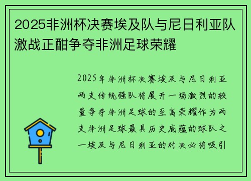 2025非洲杯决赛埃及队与尼日利亚队激战正酣争夺非洲足球荣耀